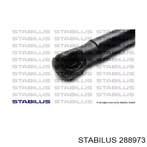Amortyzator klapy bagażnika (3/5 drzwi-tylnych) Stabilus 288973 cena, od 20,37 USD