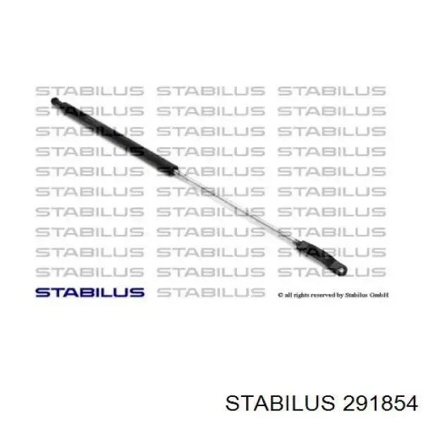 Do koszyka 291854 Stabilus Amortyzator klapy bagażnika (3/5 drzwi-tylnych)