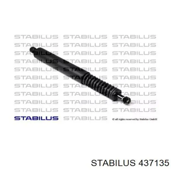 Amortyzator klapy bagażnika (3/5 drzwi-tylnych) Stabilus 437135 cena, od 28,89 USD