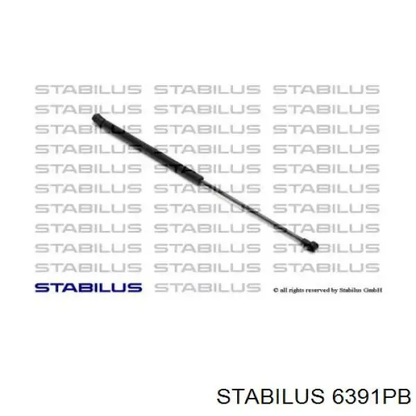 Amortyzator klapy bagażnika (3/5 drzwi-tylnych) Stabilus 6391PB cena, od 13,72 USD