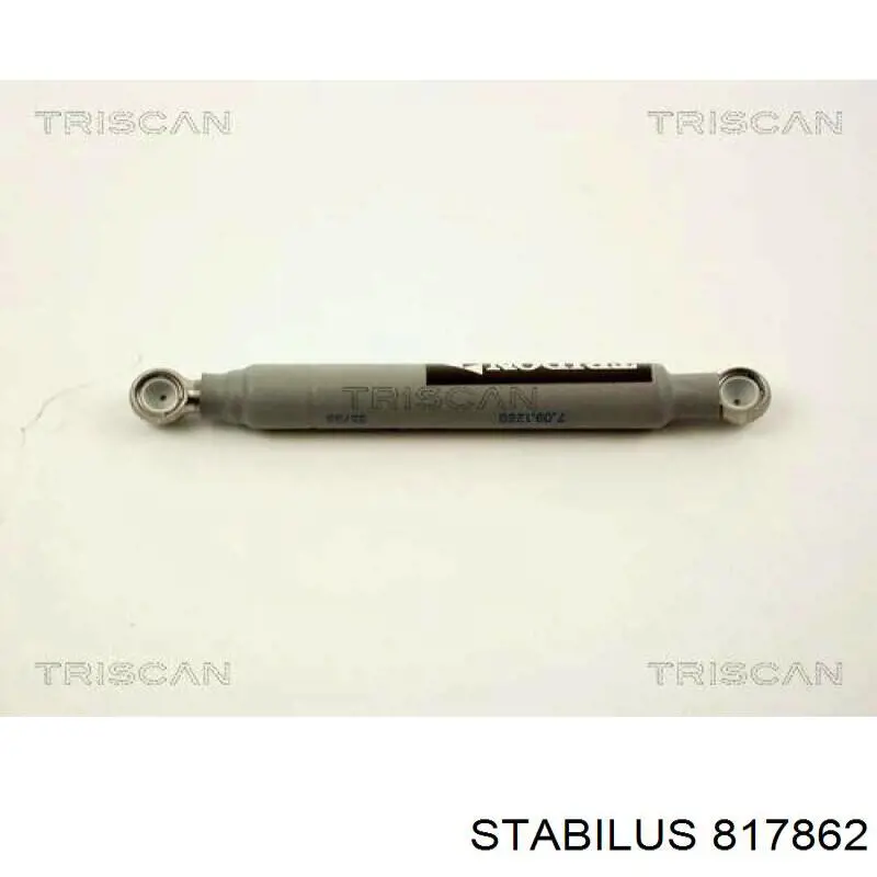 Tłumik (amortyzator) pompy wtryskowej Stabilus 817862 cena, od 44,25 USD