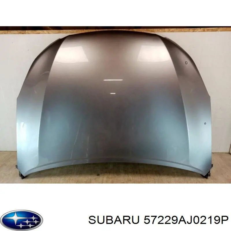 57229AJ0219P Subaru Maska silnika