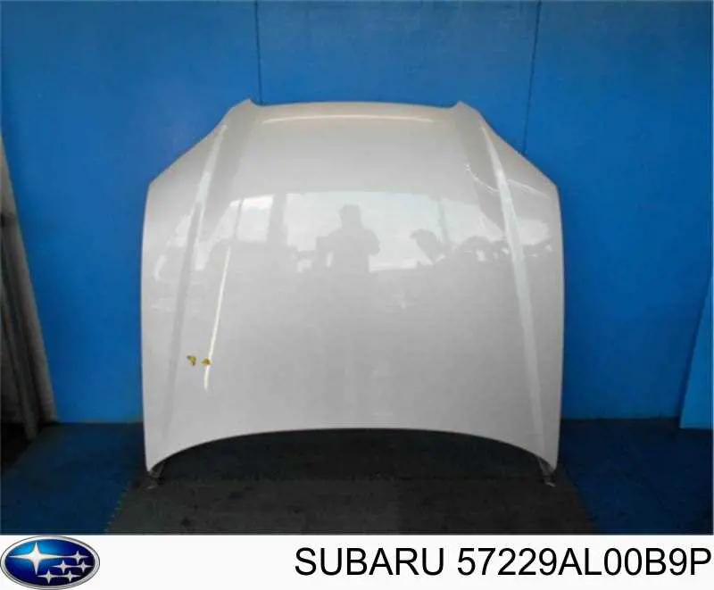 Maska silnika Subaru 57229AL00B9P cena, od 457,06 USD