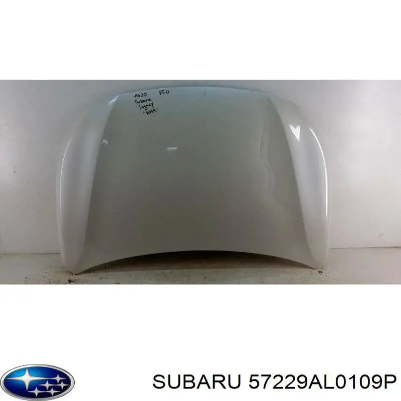 57229AL0119P Subaru Maska silnika