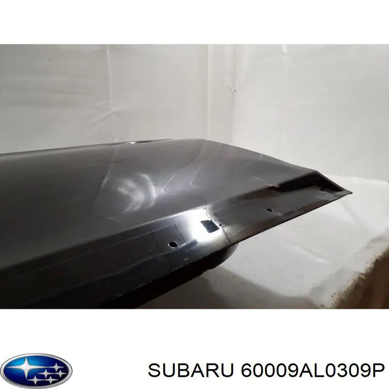  Subaru 60009AL0309P cena, od 354,13 USD