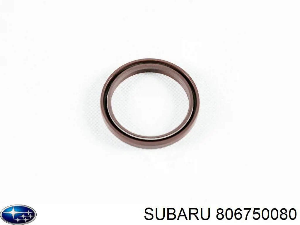 Tłumik drgań łańcucha rozrządu, lewy Subaru 806750080 cena, od 13,94 USD