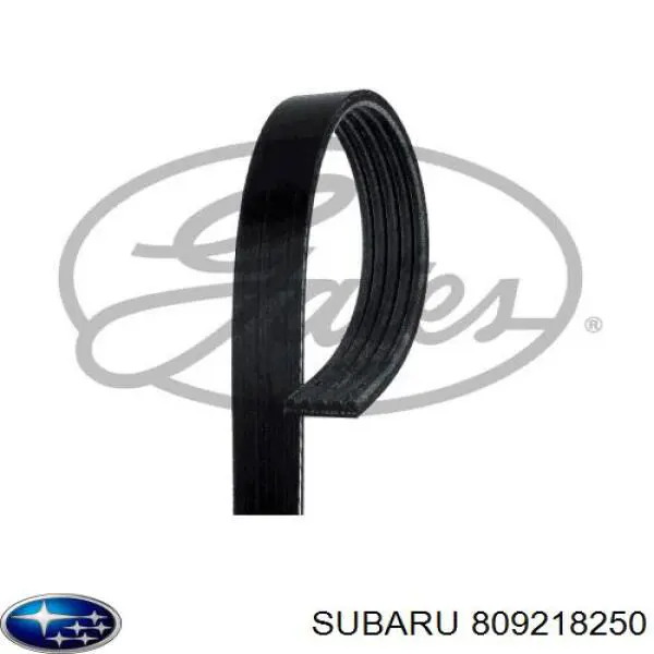 Do koszyka 809218250 Subaru Pas napędowy mechanizmów