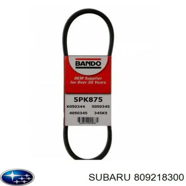 Do koszyka 809218300 Subaru Pas napędowy mechanizmów
