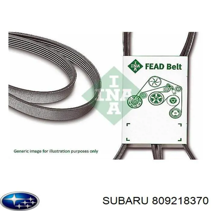 Do koszyka Pas napędowy mechanizmów Subaru Outback III B13, BP