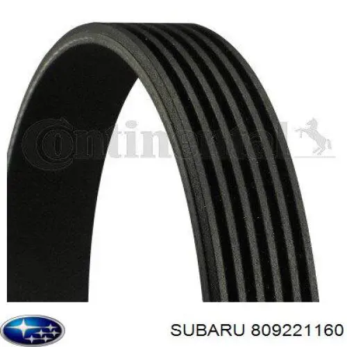 Pas napędowy mechanizmów Subaru 809221160 cena, od 23,17 USD