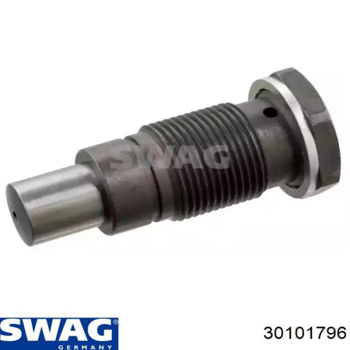 Napinacz łańcucha wałka wyrównoważającego Swag 30101796 cena, od 33,71 USD