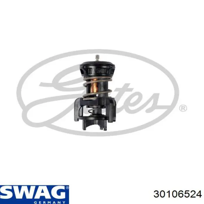 Termostat Swag 30106524 cena, od 17,60 USD