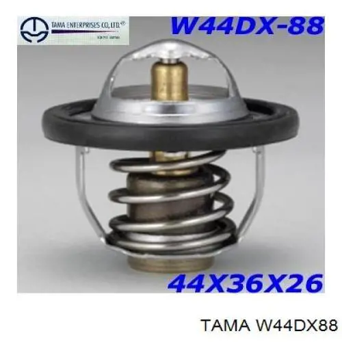 W44DX88 Tama Termostat