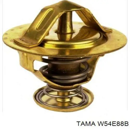 Do koszyka W54E88B Tama Termostat