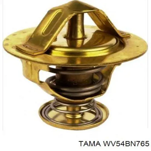 WV54BN765 Tama Termostat