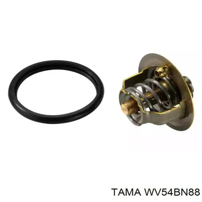 Do koszyka WV54BN88 Tama Termostat