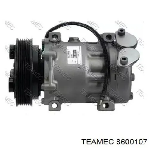 Sprężarka klimatyzacji Renault (RVI) 7700857907F cena, od 74,91 USD