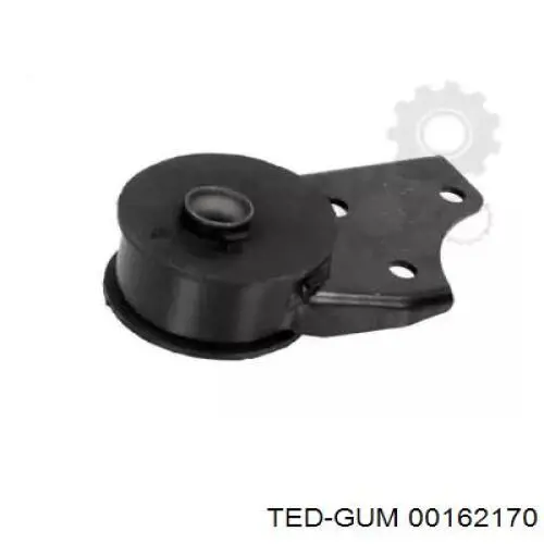 00162170 Ted-gum 