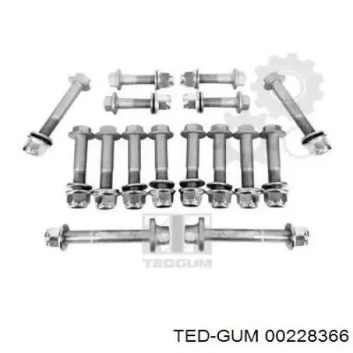00228366 Ted-gum 