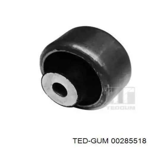 00285518 Ted-gum 