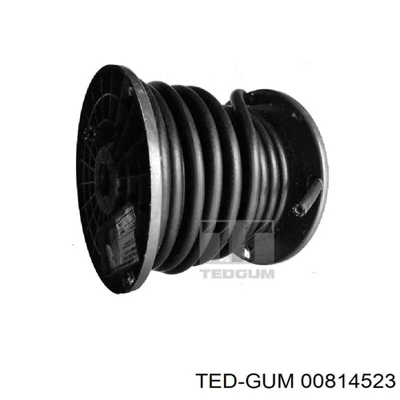 Rurka paliwa, zwrotna od wtryskiwaczy Ted-gum 00814523 cena, od 10,01 USD