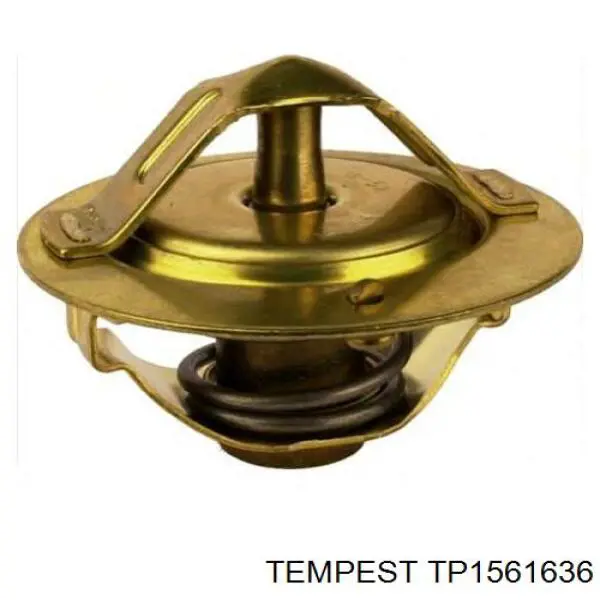 Chłodnica silnika Tempest TP1561636