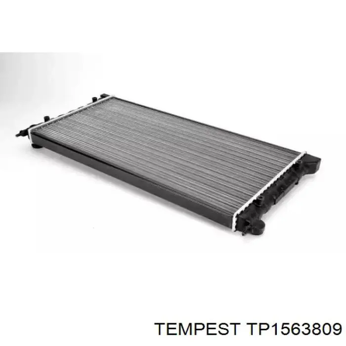 TP1563809 Tempest Chłodnica silnika