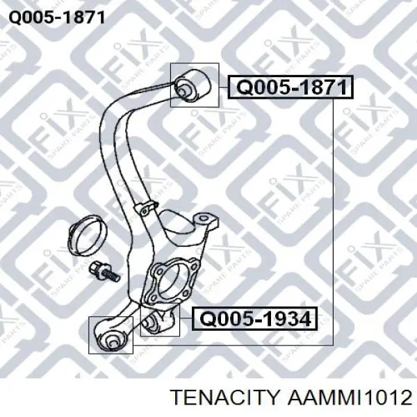 Do koszyka AAMMI1012 Tenacity Silentblock wahacza tylnego dolnego
