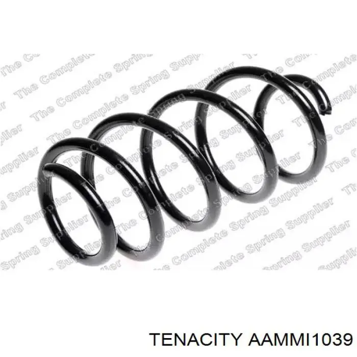AAMMI1039 Tenacity Silentblock tylnego wahacza podłużnego tyłny