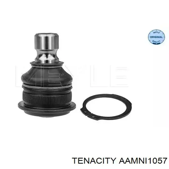 AAMNI1057 Tenacity Silentblock przedniego wahacza dolnego