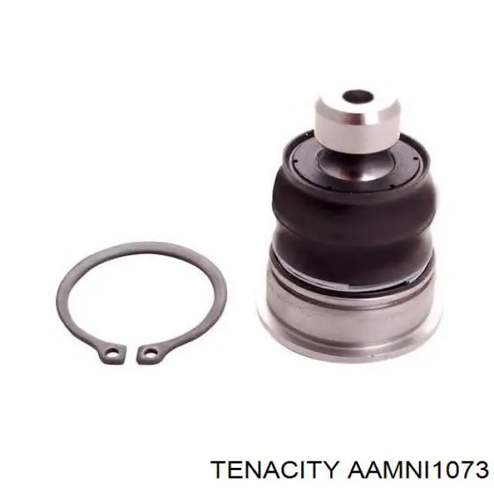 AAMNI1073 Tenacity Silentblock przedniego wahacza dolnego