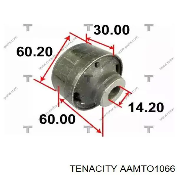 AAMTO1066 Tenacity silentblock przedniego wahacza dolnego