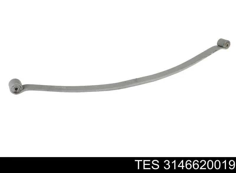 3146620019 TES Resor tylny