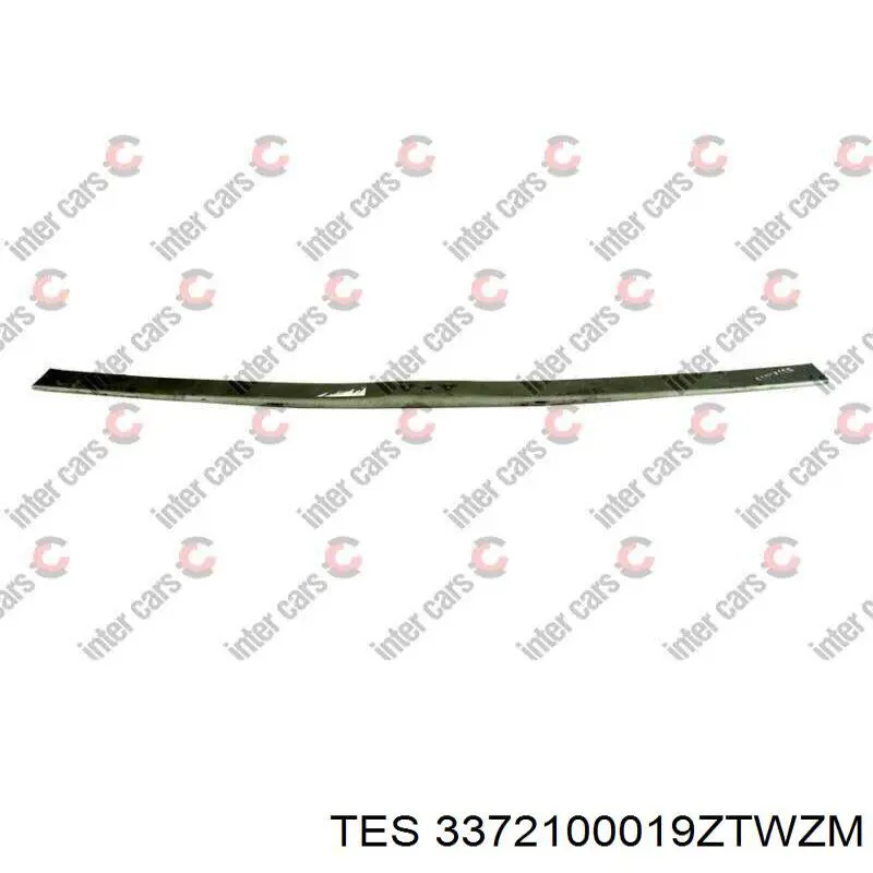 3372100019ZTWZM TES Resor tylny