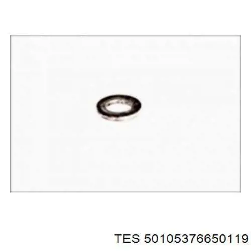 Resor tylny TES 50105376650119 cena, od 181,67 USD