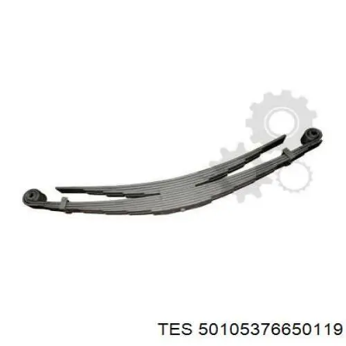  TES 50105376650119