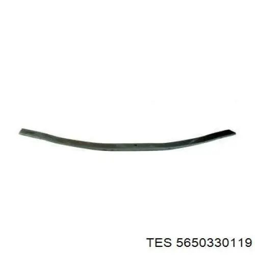 5650330119 TES Resor tylny