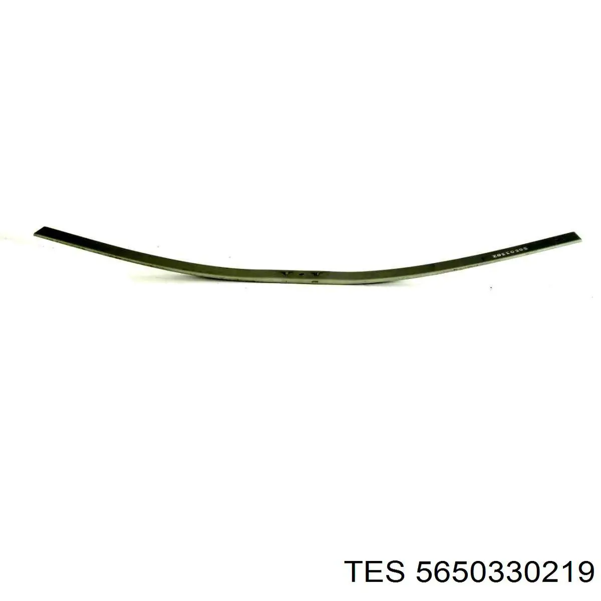 5650330119 TES Resor tylny