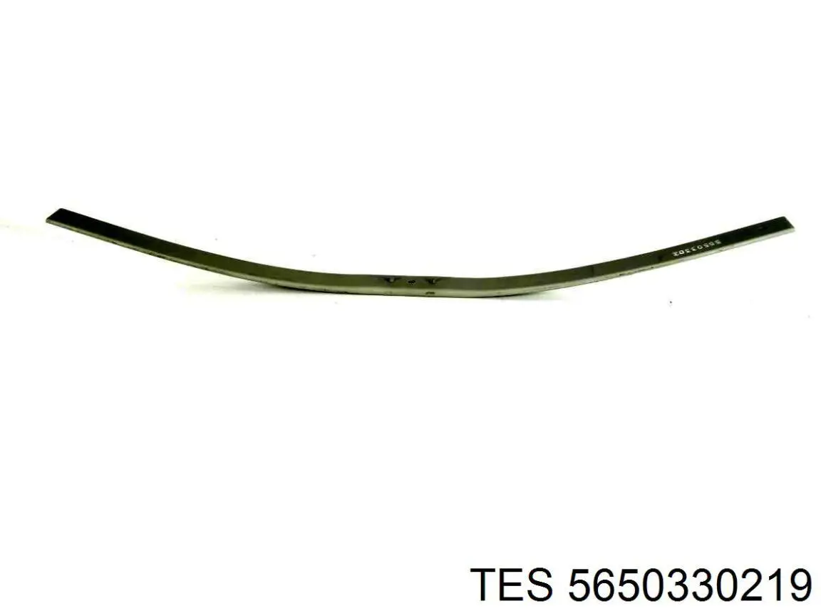 Resor tylny 5650330119 TES