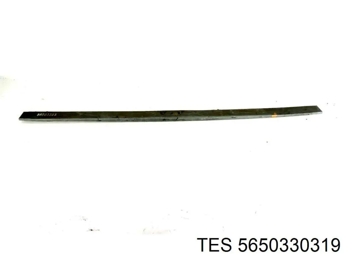 Resor tylny TES 5650330119 cena, od 81,95 USD