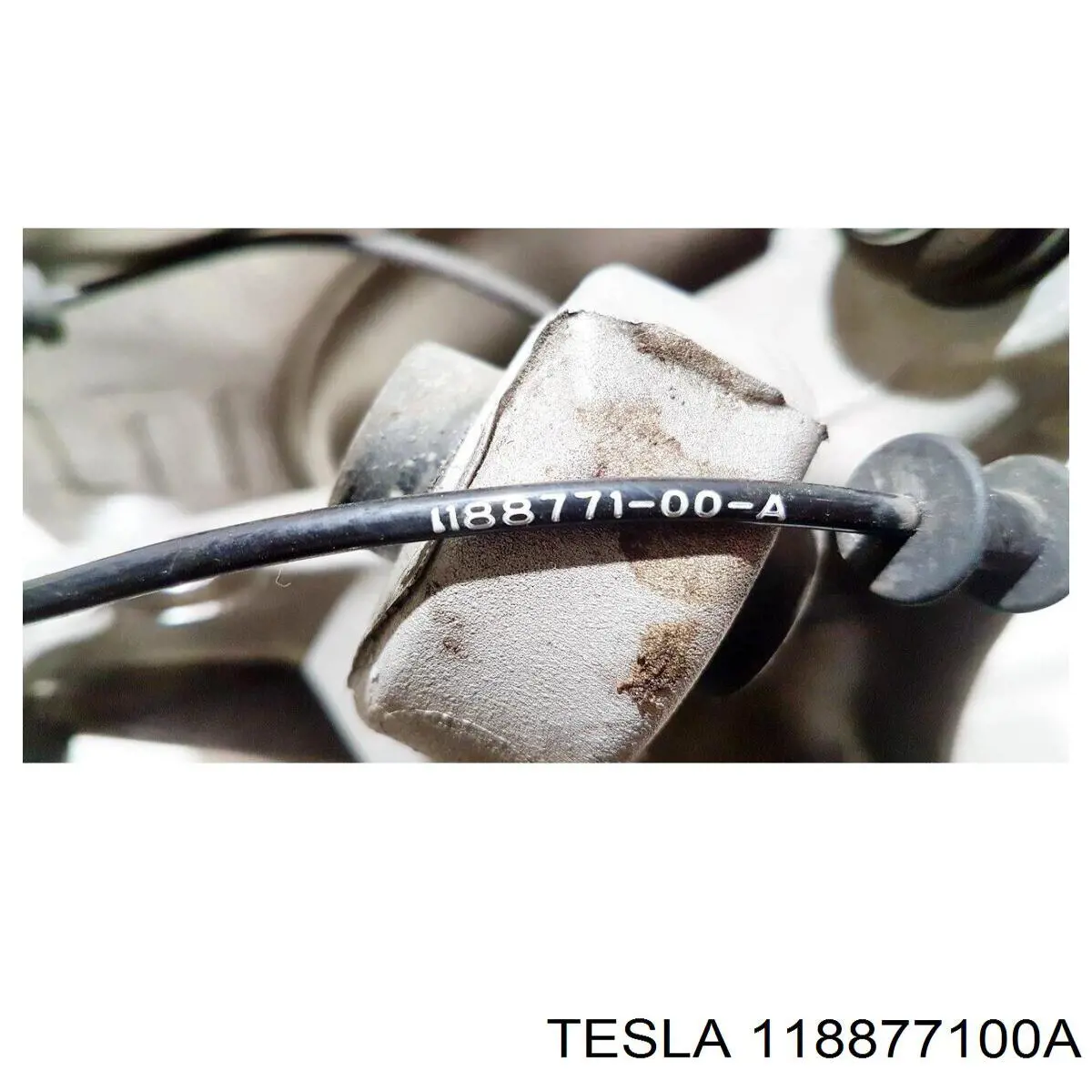 118877100A Tesla Czujnik ABS tylny