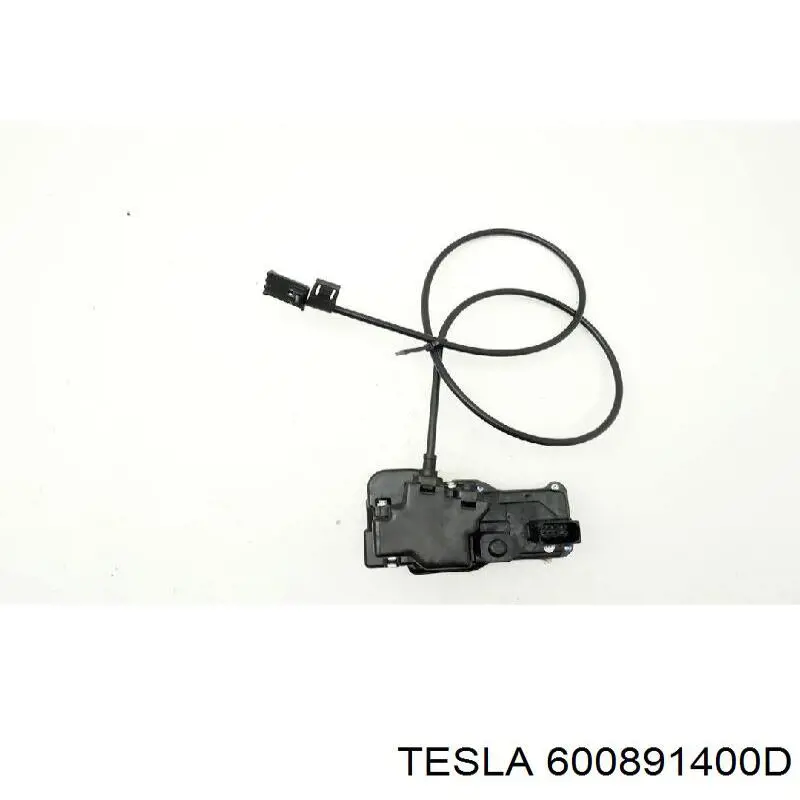 600891400D Tesla Zamek drzwi tylnych prawych