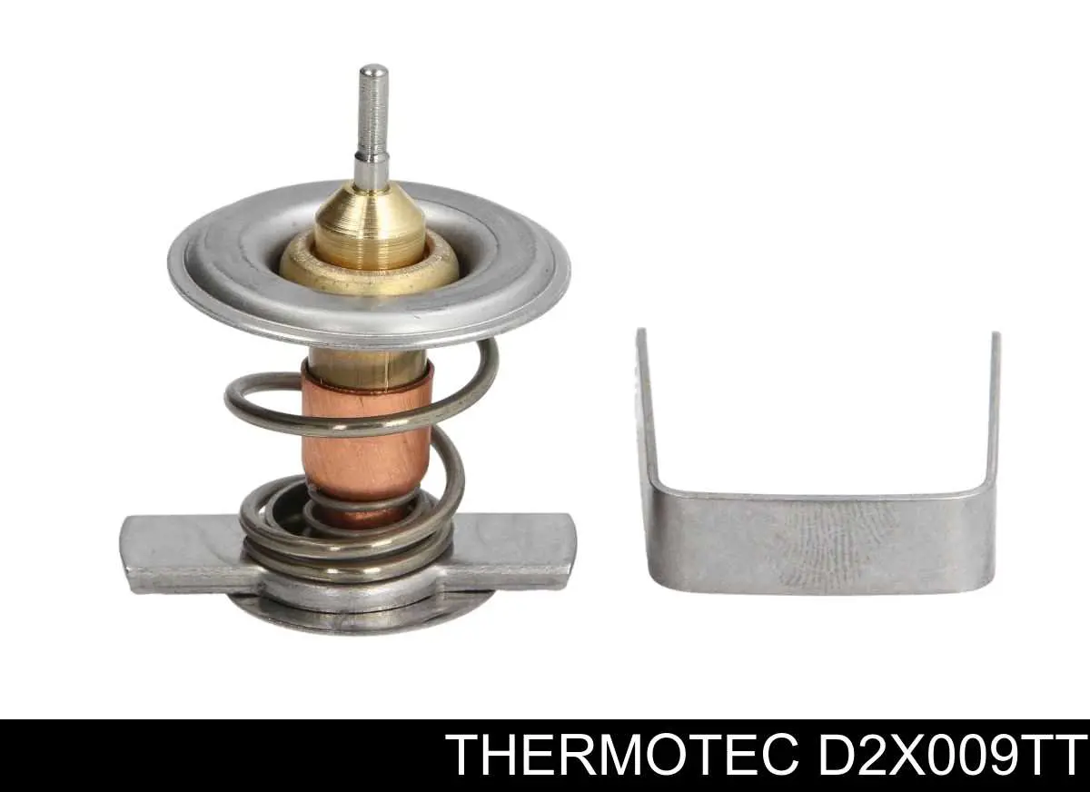 D2X009TT Thermotec termostat