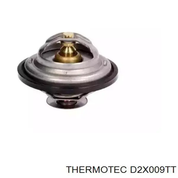 Termostat Thermotec D2X009TT cena, od 20,22 USD