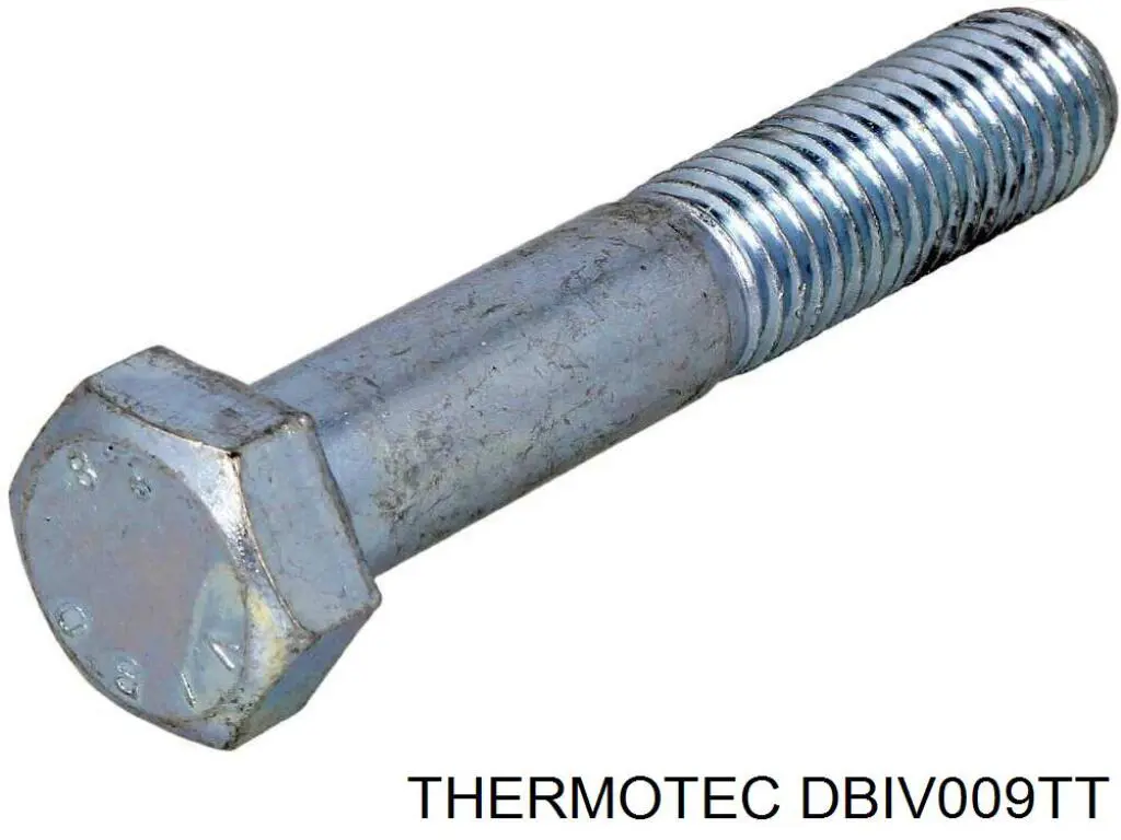 504359964 Iveco Zbiorniczek wyrównawczy układu chłodzenia