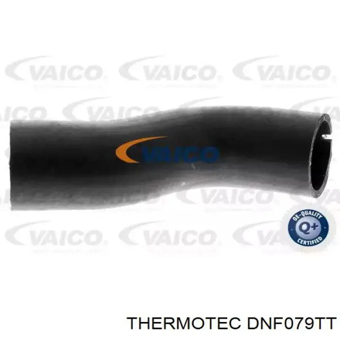 Przewód (króciec) intercoolera 51810863 Fiat/Alfa/Lancia