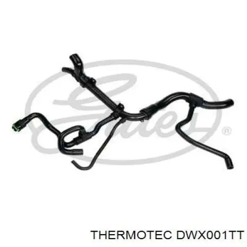 Do koszyka DWX001TT Thermotec Przewód (króciec) chłodnicy dolny