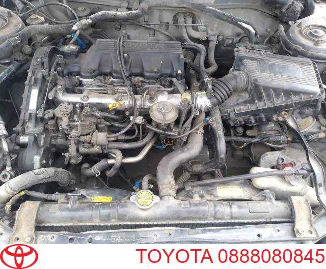 Do koszyka 0888080845 Toyota Olej do silnika