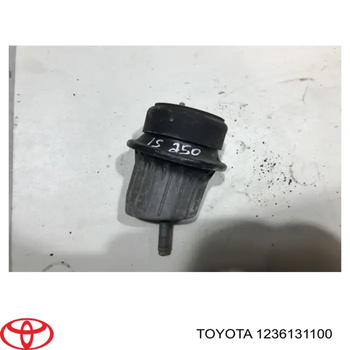 Do koszyka 1236131100 Toyota Poduszka (podpora) silnika przednia