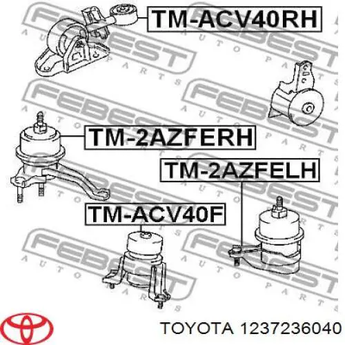 1237236040 Toyota Poduszka (podpora) silnika lewa